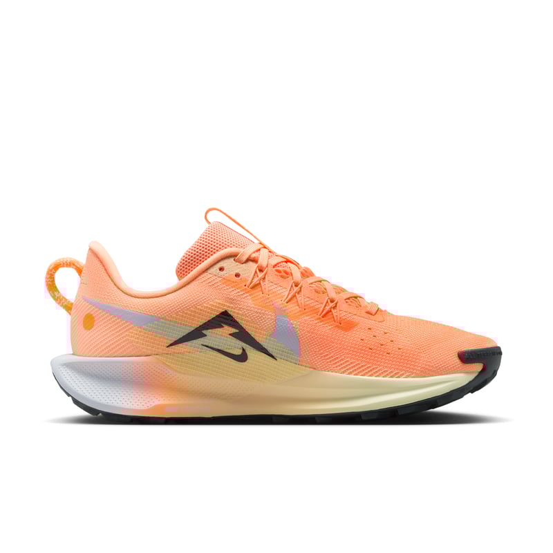 Nike Pegasus Trail 5 DV3865-800 03