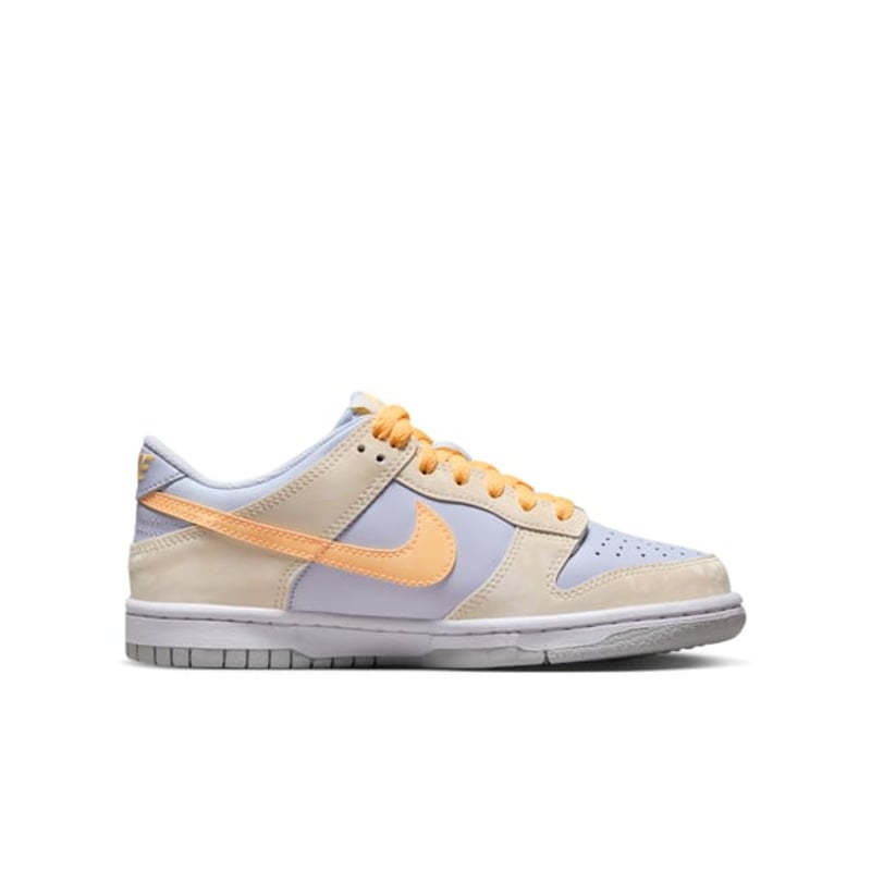 Nike Dunk Low FB9109-100 03