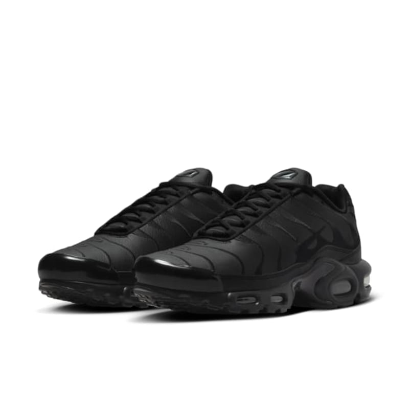 Nike Air Max Plus AJ2029-001 04