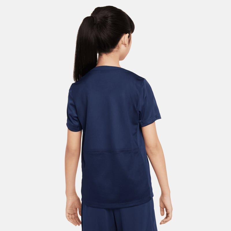 Nike Paris Saint-Germain Academy Pro Dri-FIT FQ0022-411 02