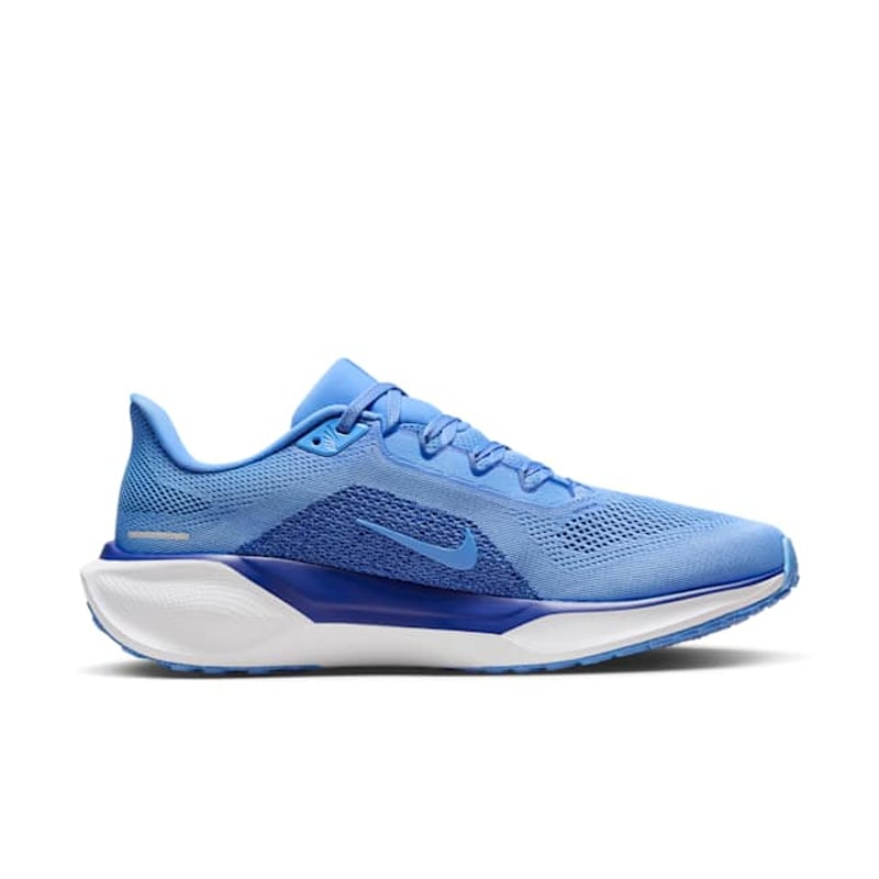 Nike Pegasus 41 FZ5141-400 03