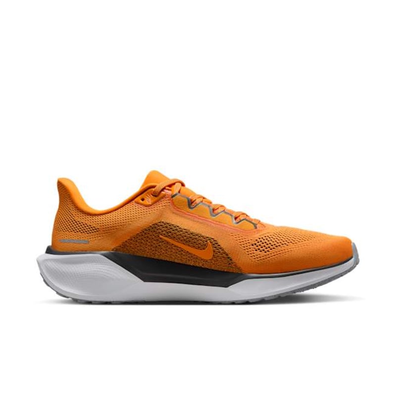Nike Pegasus 41 FZ5144-800 03