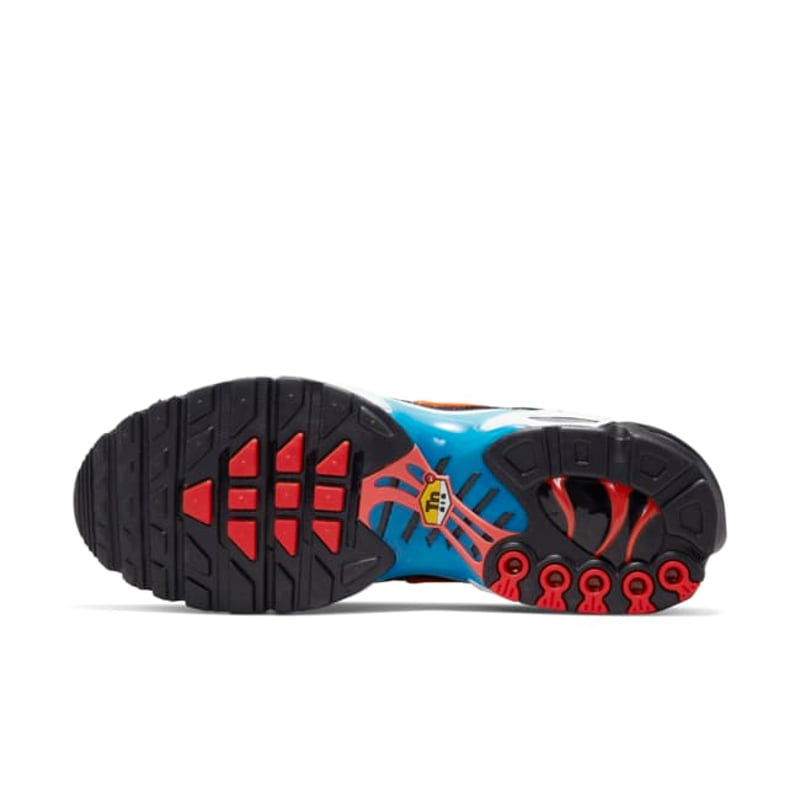 Nike Air Max Plus DX2665-001 02