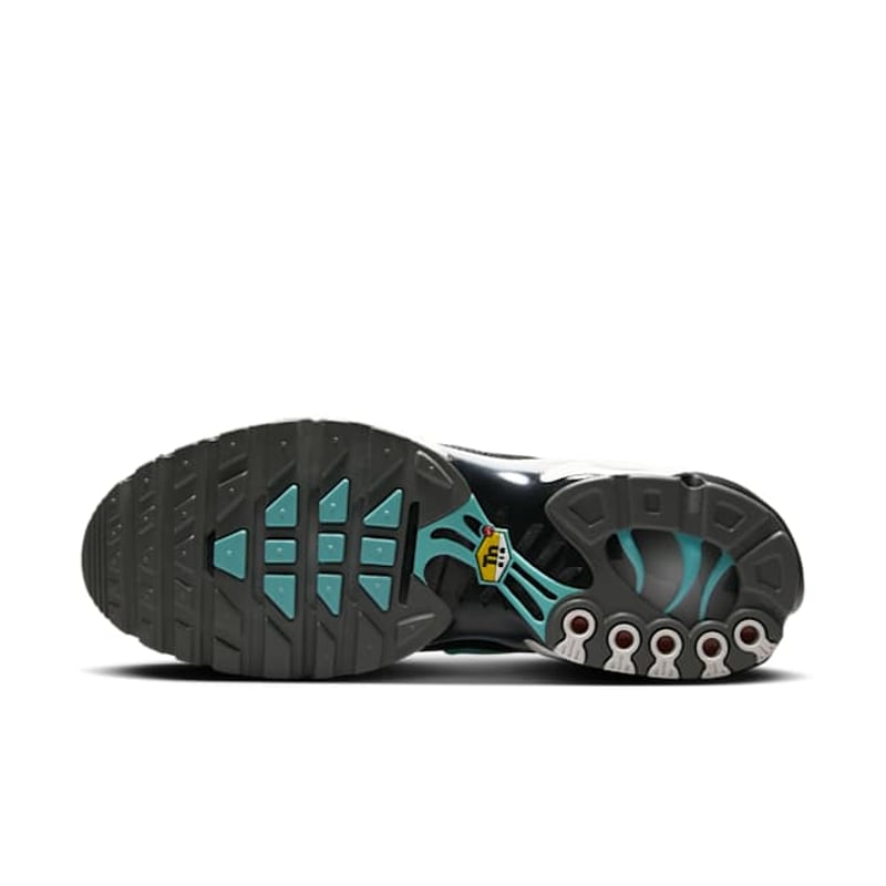 Nike Air Max Plus HV6225-100 02