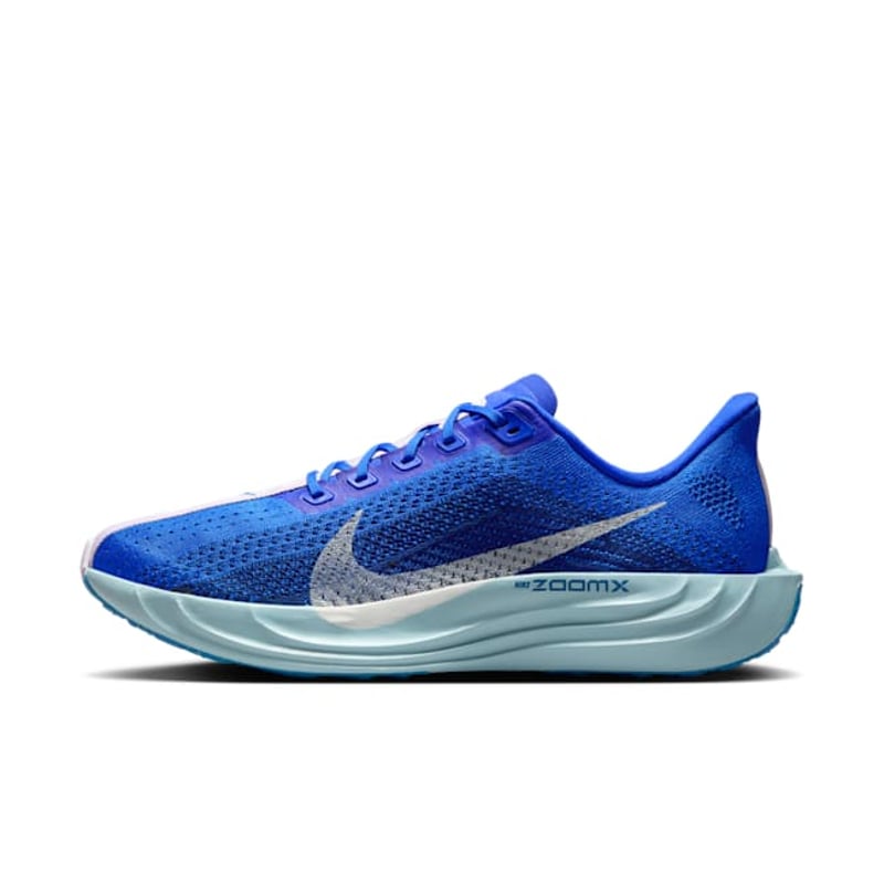 Nike Pegasus Plus HQ1719-400 01