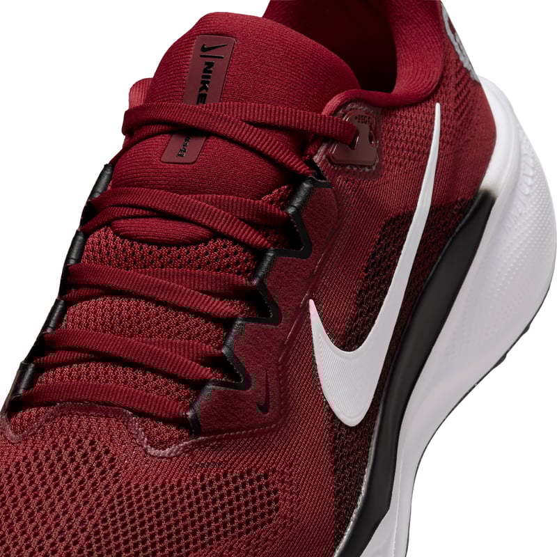 Nike Pegasus 41 FZ5137-601 07