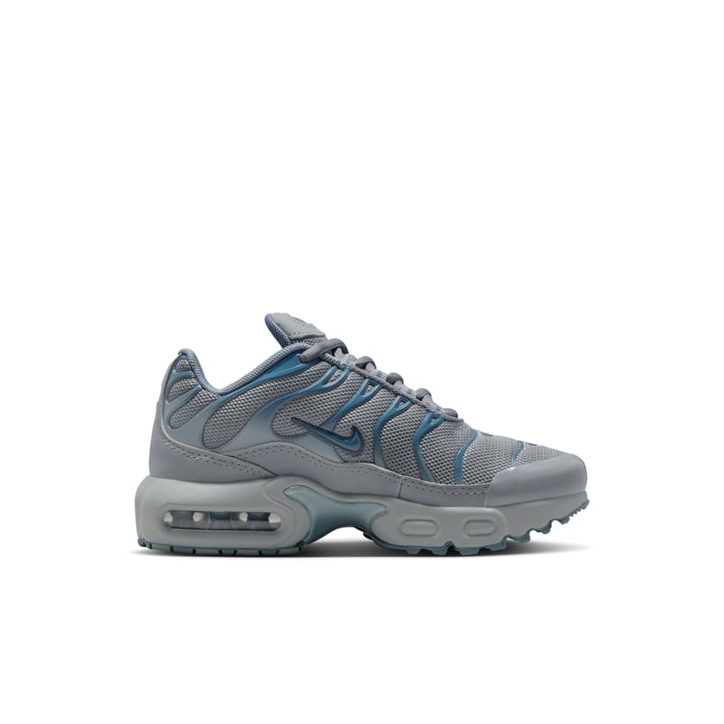 Nike Air Max Plus FZ0023-042 03