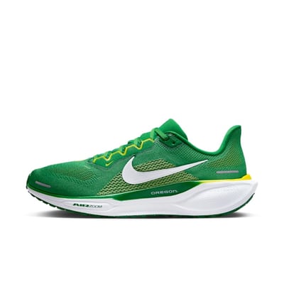Nike Pegasus 41 FZ5138-300