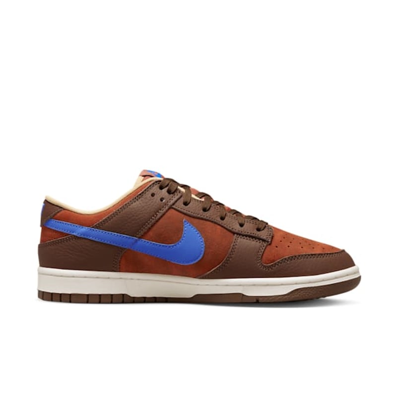Nike Dunk Low Retro Premium DR9704-200 03
