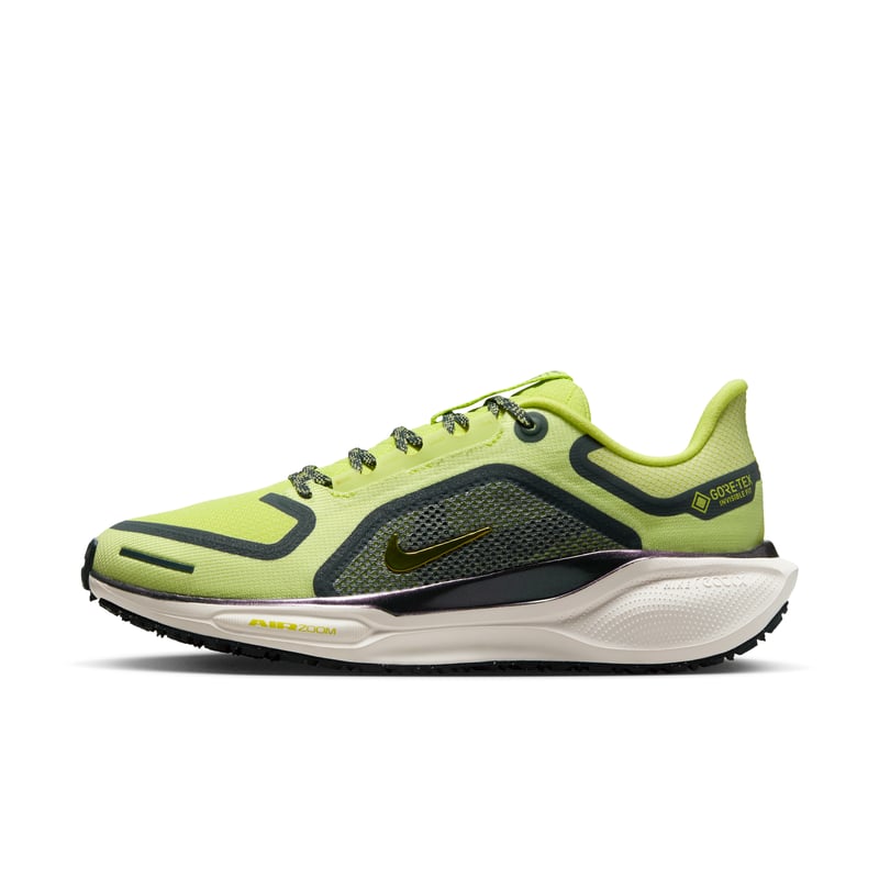 Nike Pegasus 41 GORE-TEX FQ1357-300 01