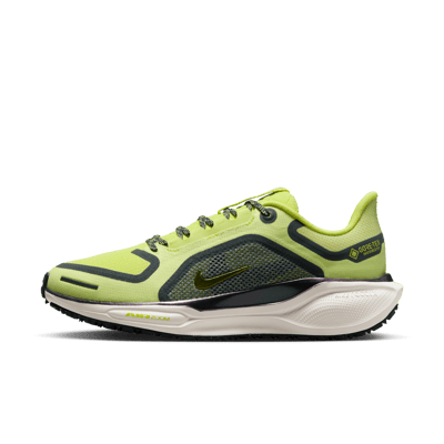 Nike Pegasus 41 GORE-TEX FQ1357-300