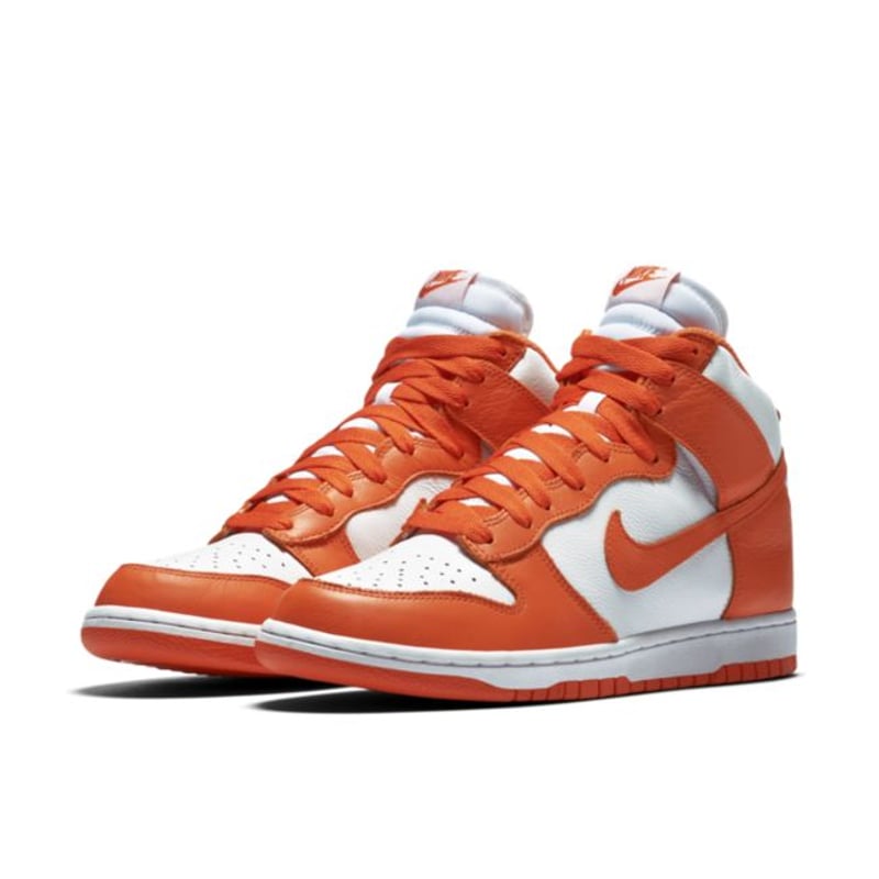 Nike Dunk High Retro QS 850477-101 05