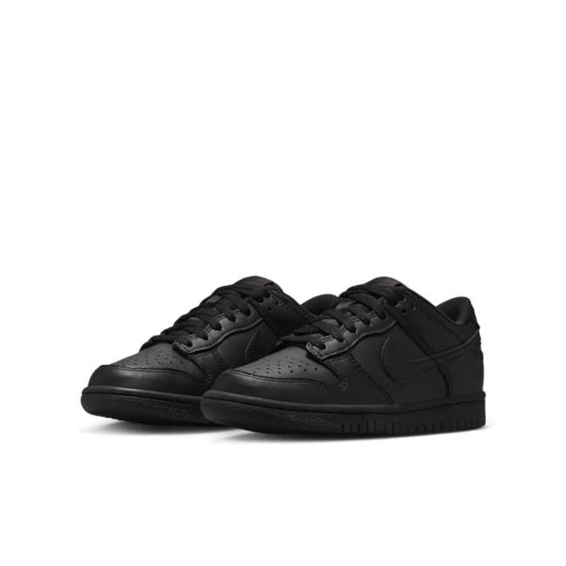 Nike Dunk Low FB9109-009 05