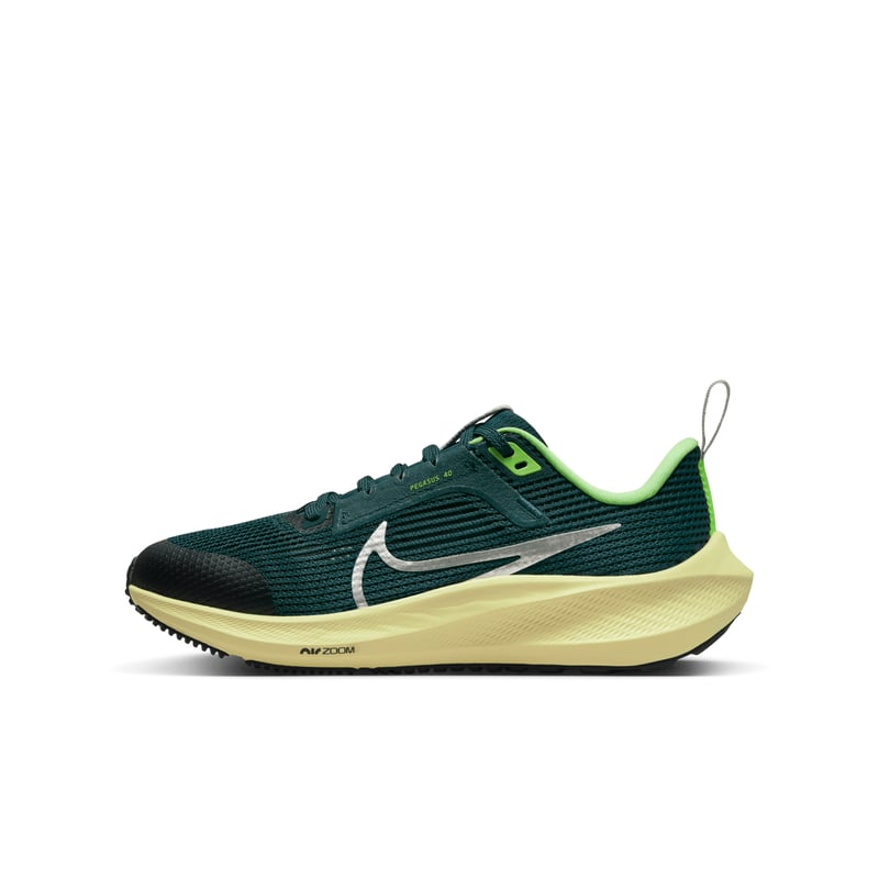 Nike Air Zoom Pegasus 40 DX2498-301 01