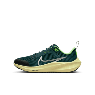 Nike Air Zoom Pegasus 40 DX2498-301 01