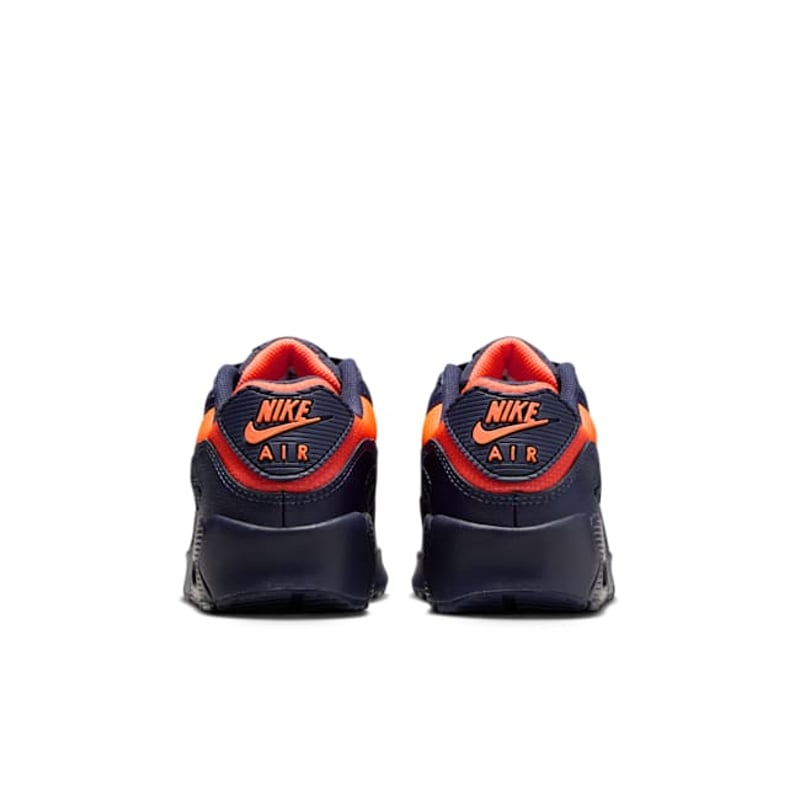 Nike Air Max 90 LTR CD6864-701 06