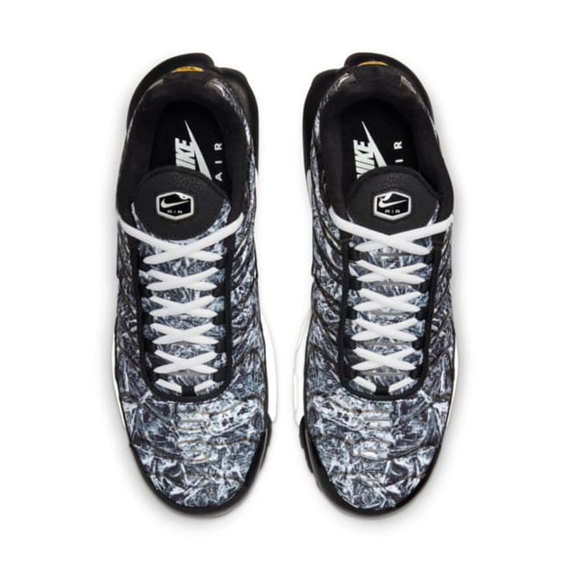 Nike Air Max Plus DO6384-001 04
