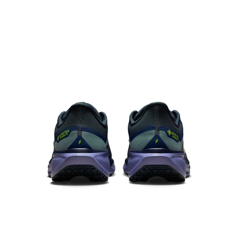 Nike Pegasus 41 GORE-TEX FQ1356-006 06