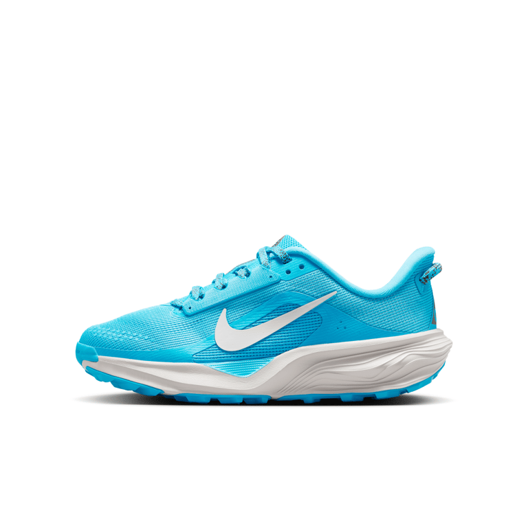 Nike ACG Pegasus