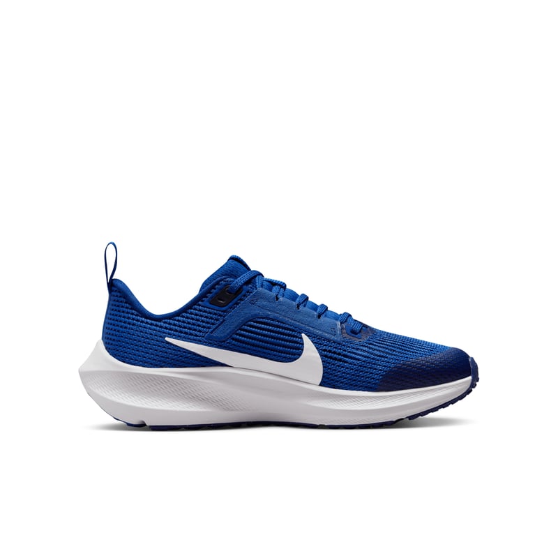 Nike Air Zoom Pegasus 40 DX2498-400 03