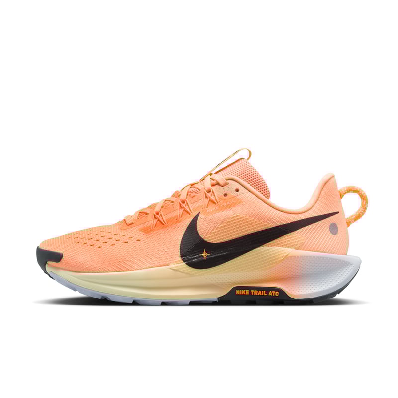 Nike Pegasus Trail 5 DV3865-800 01