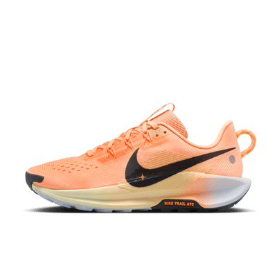 Nike Pegasus Trail 5 DV3865-800