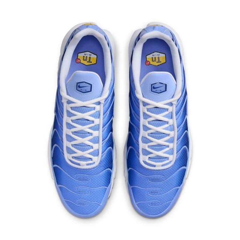 Nike Air Max Plus DM0032-403 04