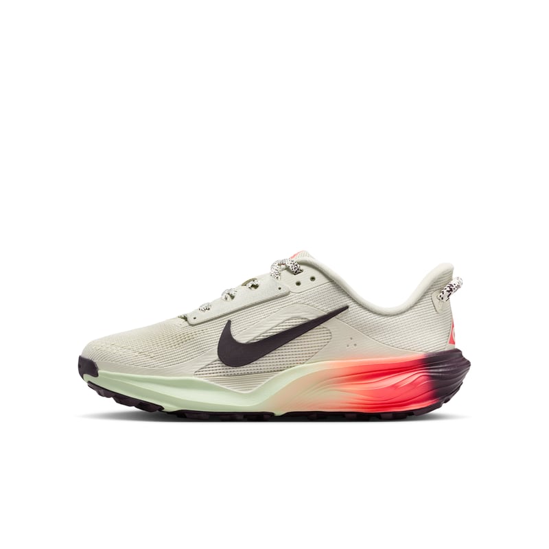 Nike ACG Pegasus IH2305-002 01