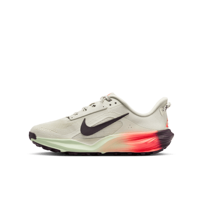 Nike ACG Pegasus IH2305-002 01