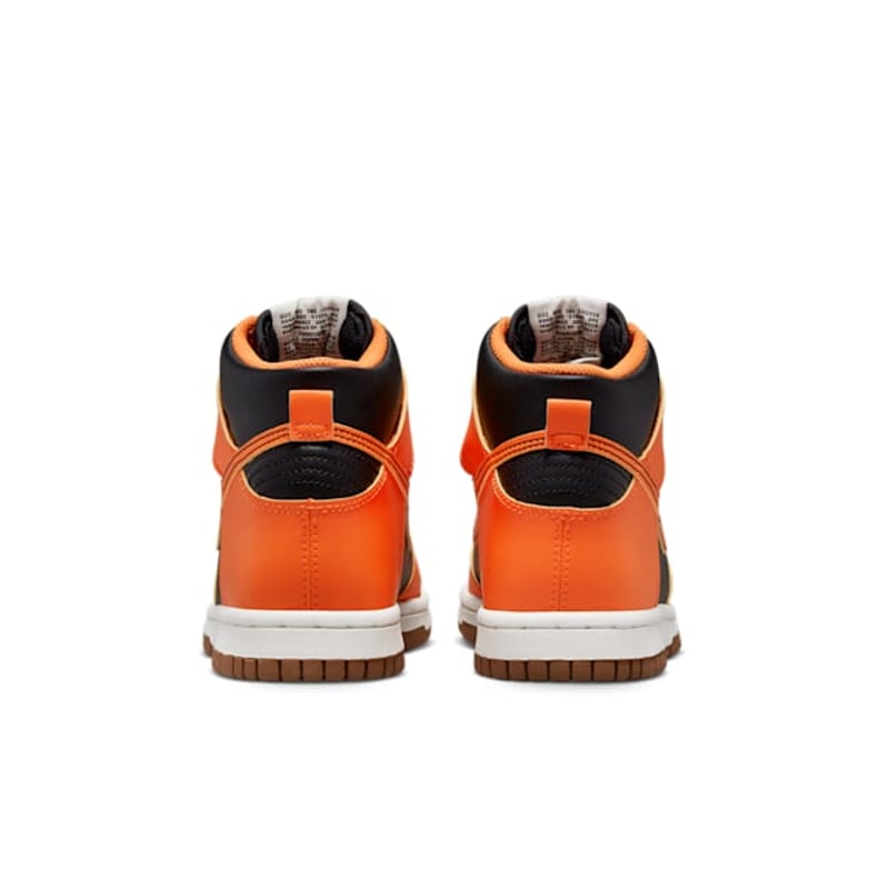 Nike Dunk High DB2179-004 06