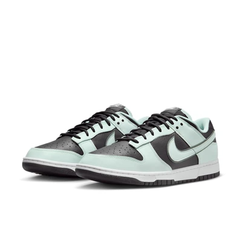 Nike Dunk Low Retro Premium FZ1670-001 05