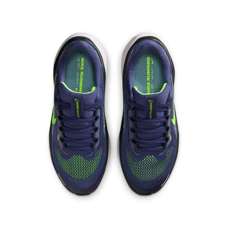 Nike Pegasus 41 FN5041-501 04