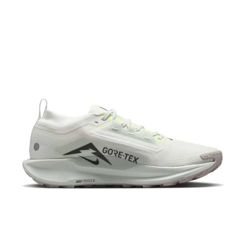 Nike Pegasus Trail 5 GORE-TEX FQ0908-102 03