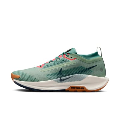 Nike Pegasus Trail 5 GORE-TEX FQ0908-300