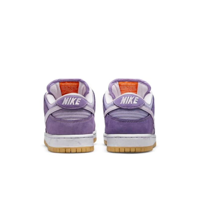 Nike SB Dunk Low DA9658-500 06