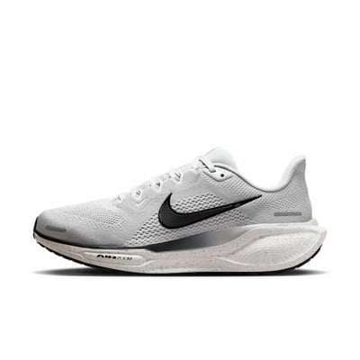 Nike Pegasus 41 HQ3509-077