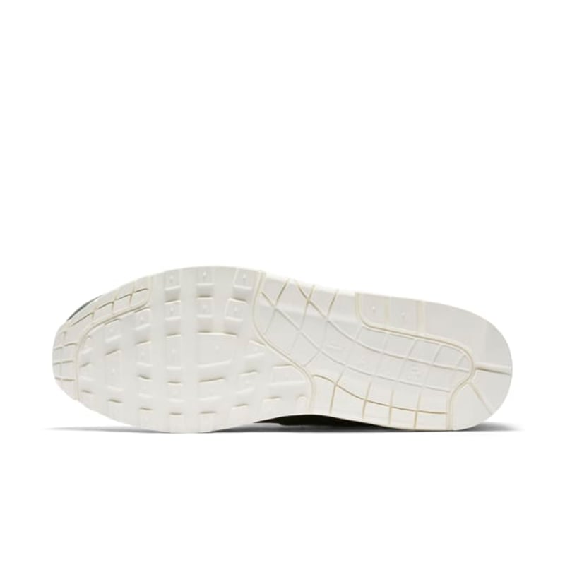 Nike Air Max 1 Pinnacle 859554-300 02