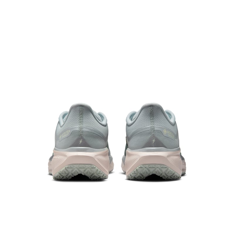 Nike Pegasus 41 GORE-TEX FQ1356-007 06