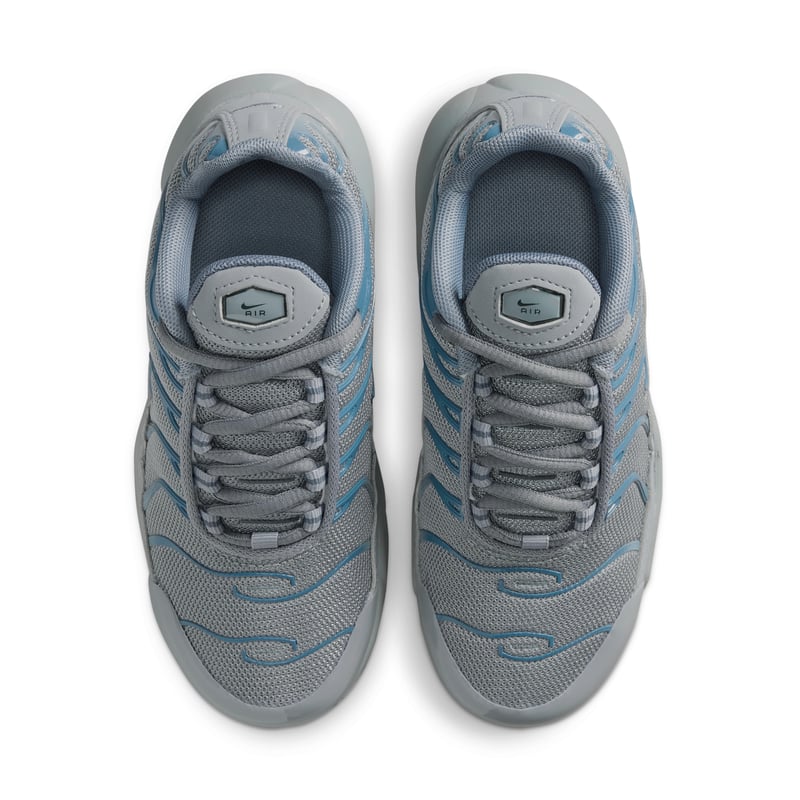 Nike Air Max Plus FZ0023-042 04
