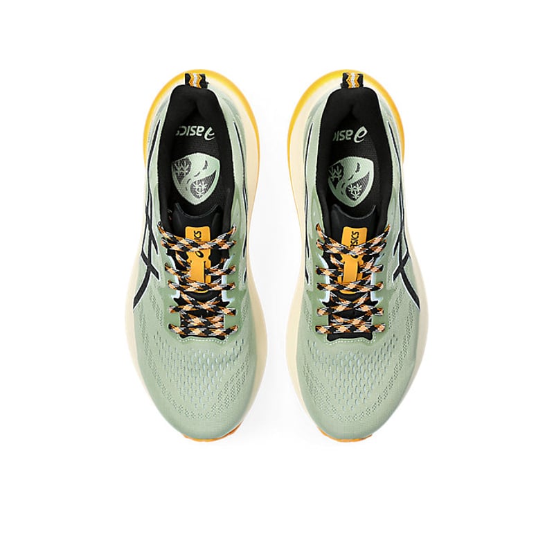 ASICS GT-2000 12 TR 1011B775-250 06
