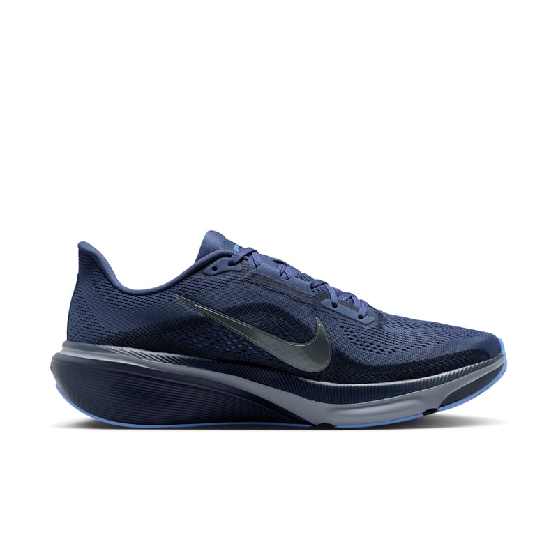 Nike Pegasus 42 IB1873-401 03