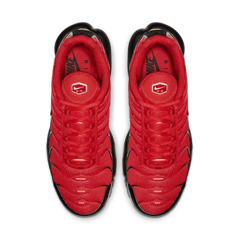 Nike Air Max Plus 852630-603 04