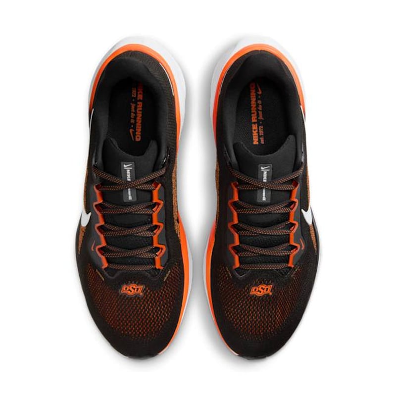 Nike Pegasus 41 FZ5136-001 04