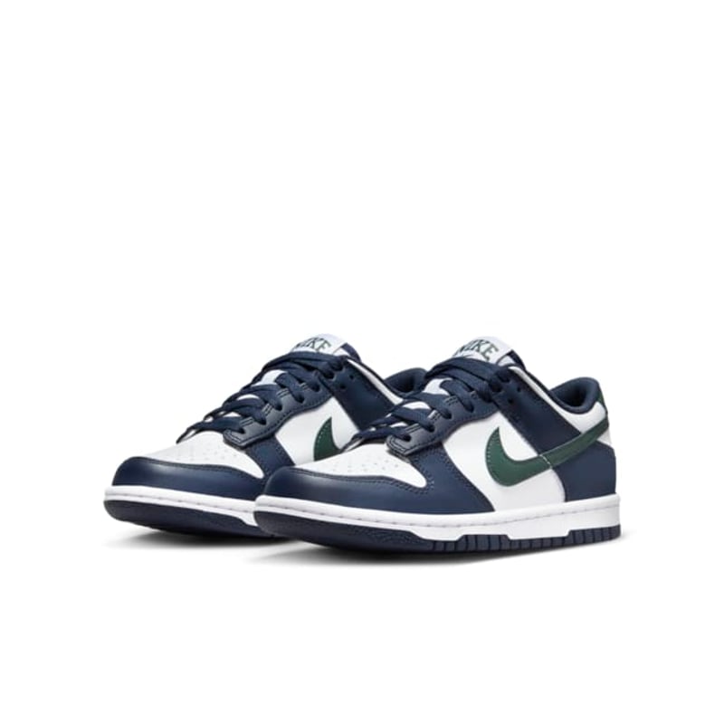 Nike Dunk Low HF5177-400 05