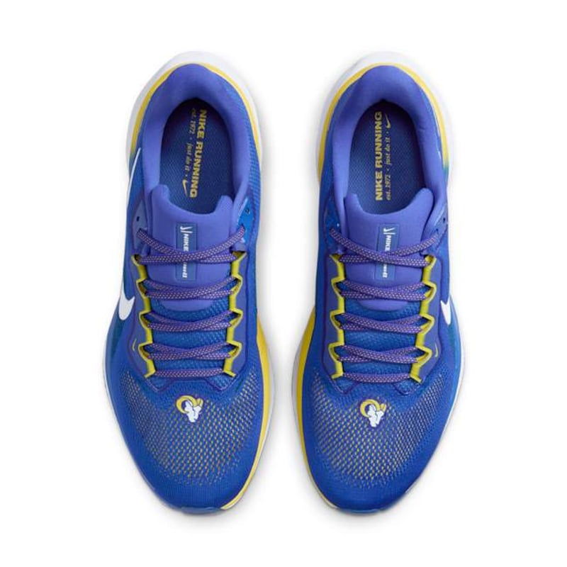 Nike Pegasus 41 x NFL FZ5086-400 04