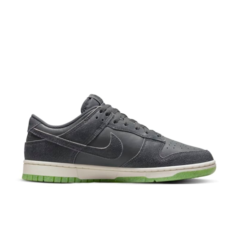 Nike Dunk Low Retro Premium DQ7681-001 03