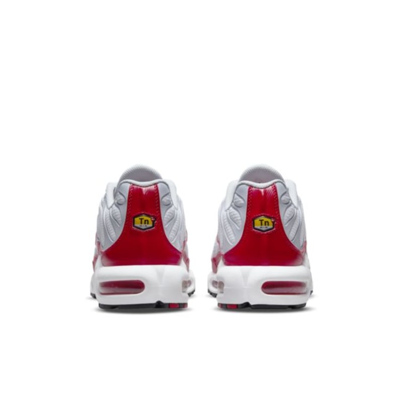 Nike Air Max Plus ‘Air Max 1’ DM8332-100 06