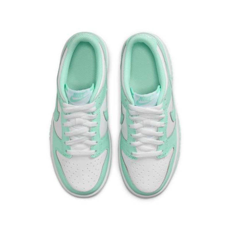 Nike Dunk Low FZ3534-100 04