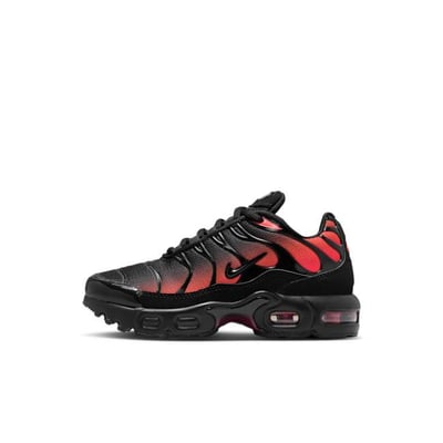 Nike Air Max Plus FZ0023-039