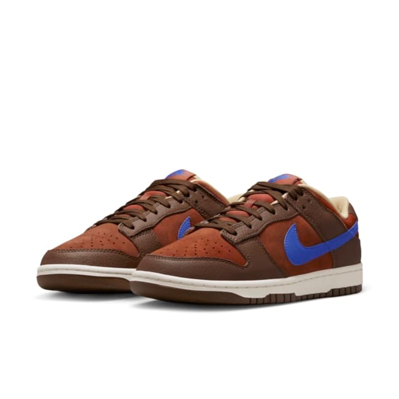 Nike Dunk Low Retro Premium DR9704-200 05